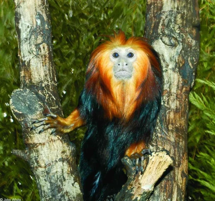 Zoologická zahrada Punta Verde