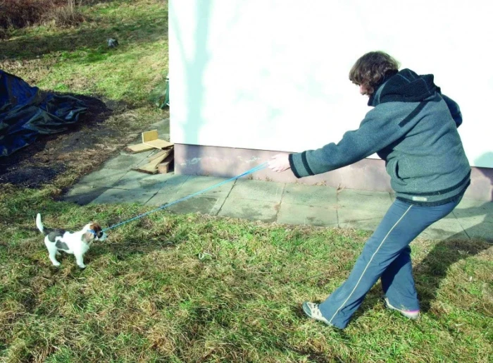 Jack Russell teriér a sportovní aktivita, Část 4. – Přivolání