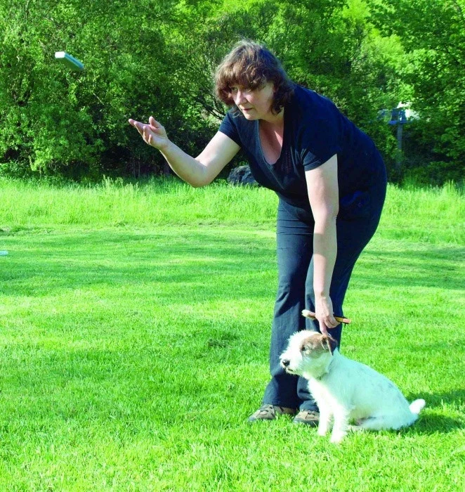 Jack Russell teriér a sportovní aktivita Část 9. – Pachové práce – vyhledávání a přinášení předmětů na ploše, rozlišování předmětů podle pachu