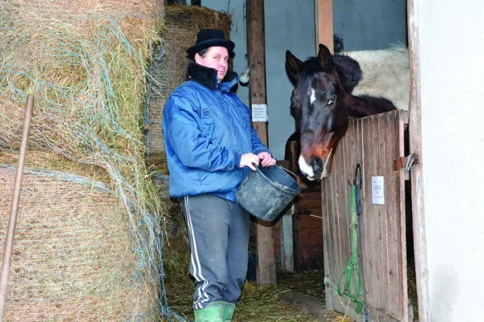 Koně rádi spí, koně rádi jedí, koně rádi pijí