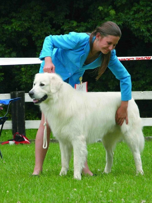 Neobyčejná historie slovenských čuvačů