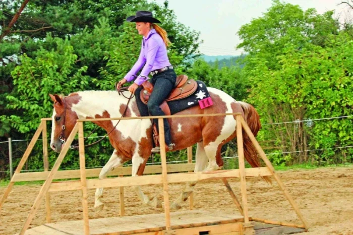 Seznamte se: working equitation
