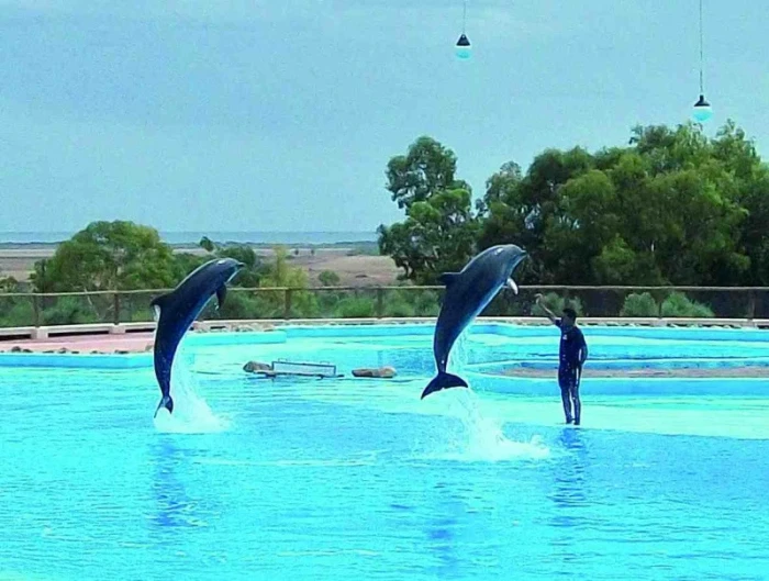 Zoopark Friguia – Tunisko