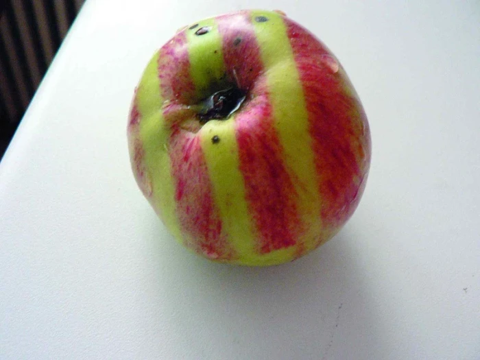 Poklady z přírody 17 Jablka a jiné jádroviny