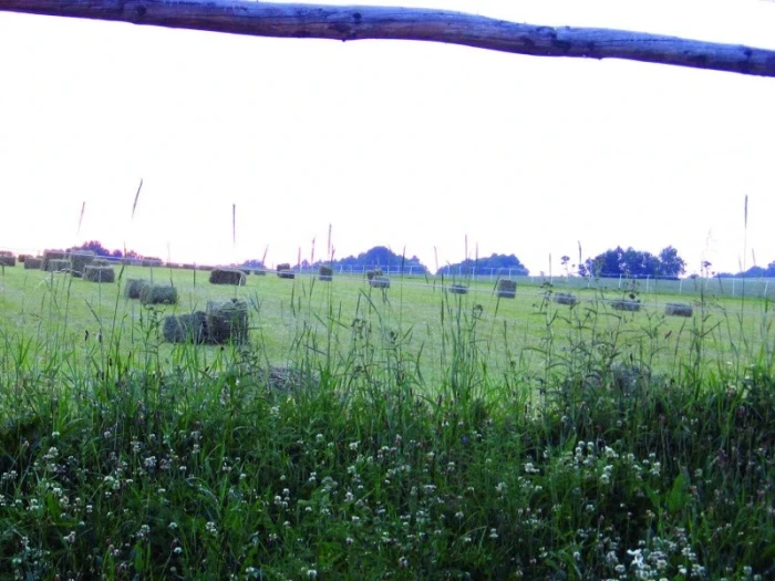 Pastviny a péče o ně