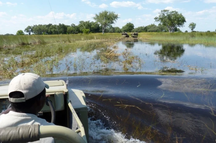 Okavango šampaň