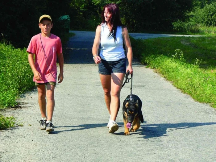 Výchova rodinného psa 8 – Chůze u nohy