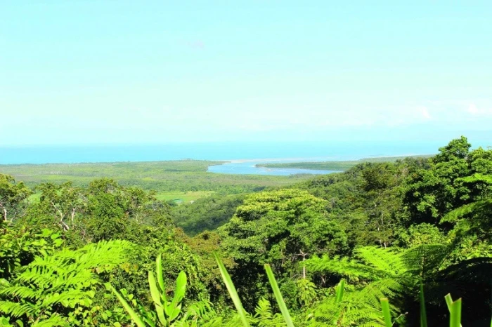 Ptáci Austrálie II