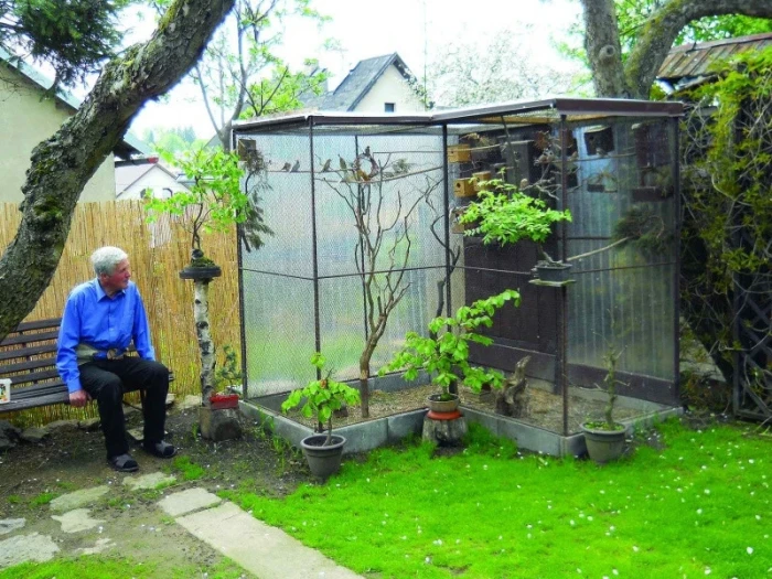 Moje chovatelské pokusy a omyly