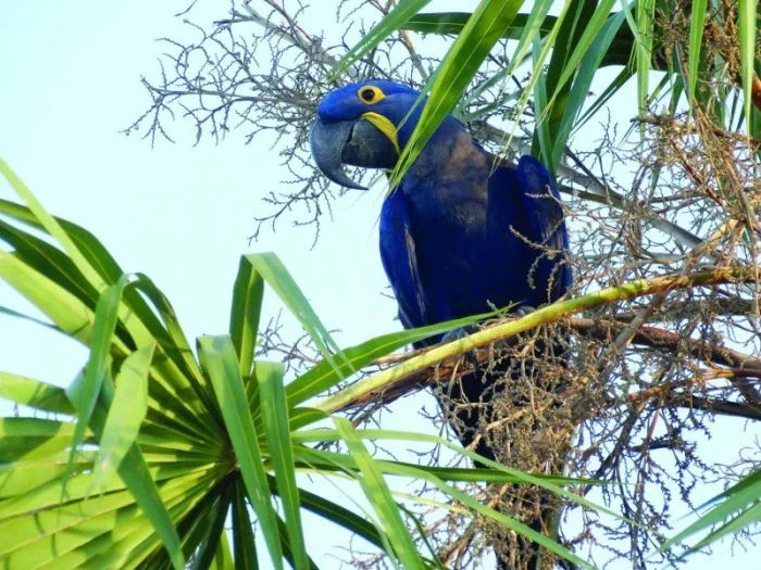 Jižní Amerikou od Atlantiku k Pacifiku