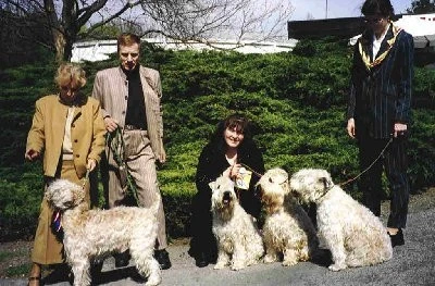Výsledky výstav: Irish soft coated wheaten teriér - irský jemnosrstý pšeničný teriér