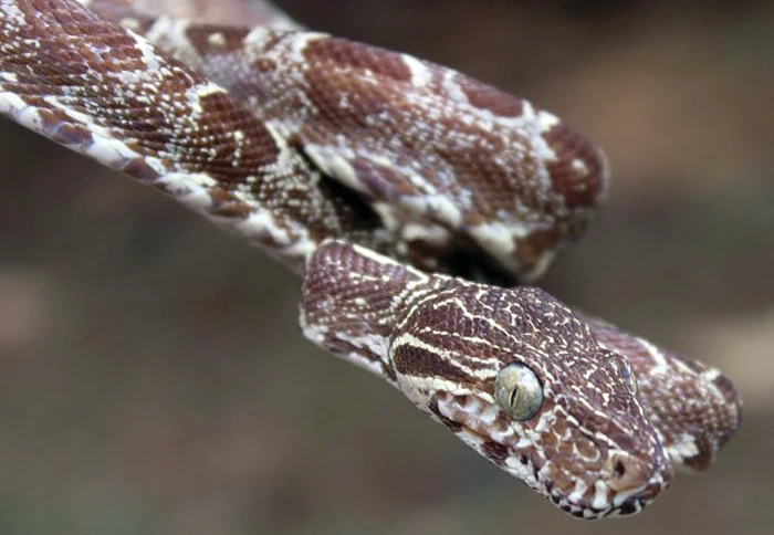 Za přírodou Ekvádoru – nahlédnutí do Amazonie