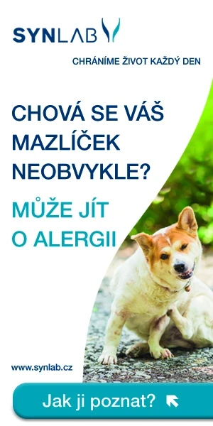 Když se zvíře cítí pod psa, může jít o alergii