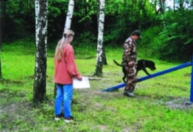 Jak se stát rozhodčím pro výkon psů sportovní kynologie?