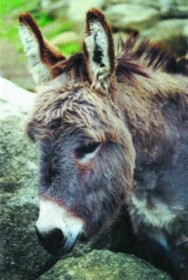 Naučte se o nás starat