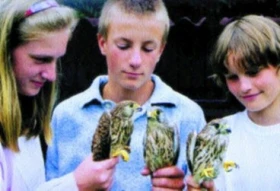 Tisková zpráva ČSOP: Poštolky opět na svobodě