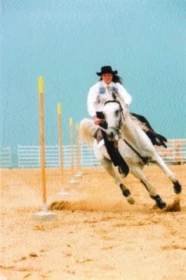 Jak začít s westernovým ježděním: 2.díl