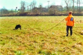 Stopování se psem - 1.díl