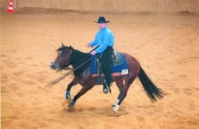 Chováte quartera? - 1.díl