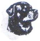 MVP - Trenčín 28.1. 2001