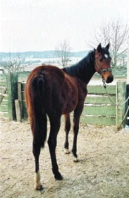 Chováte quartera? - 2.díl