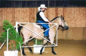 Jak začít s westernovým ježděním: 3.díl