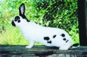 Co přinese nový vzorník?