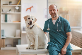 Když veterinární péče stojí víc, než čekáte: Řešení nabízí pojištění mazlíčků. 