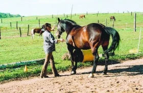 “Jak mít koně“ - 6. část