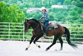 Reining a jeho manévry I.