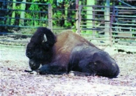 Naučte se o nás starat