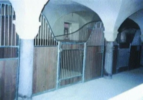 Požadavky na ustájení koní