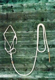 „Jak mít koně“ – 22. Část