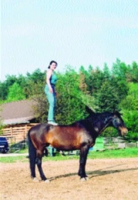 „Jak mít koně“ – 27. Část