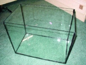 Zakládáme akvárium – část I.