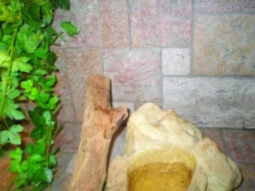 Kompletní stavba terária - 3.díl