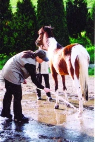 „Jak mít koně“ – otázky a odpovědi: 1. díl