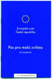 Cestování se zvířaty – psi, kočky, fretky