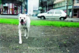 Jeden životní příběh