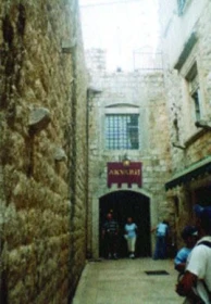 Mořské akvárium v Dubrovníku