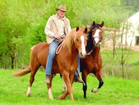 Semináře s Honzou Bláhou o přirozené komunikaci s koňmi