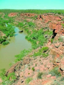 Toxicita rodu Pseudechis