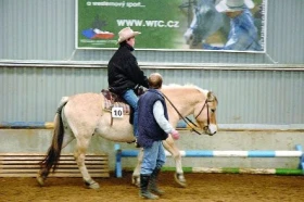 Para–western – nová motivace