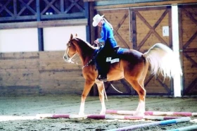 Něco málo o tréninku … (2. část)