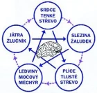 Veterinární alternativní medicína – 2. Část