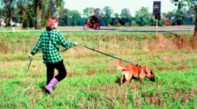 Sportovní kynologie