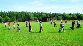 Bull Terrier Action – Zbraslav u Brna