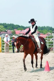 Westernové licence – otázky a odpovědi