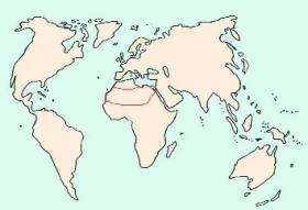 Cerastes vipera Viperidae - zmije písečná, zmije saharská