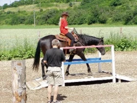 Začínáme s poslušností a respektem